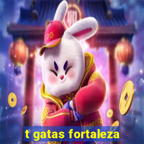 t gatas fortaleza